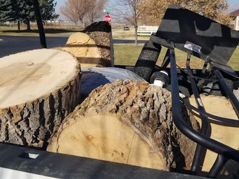 Tree Index