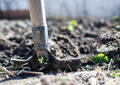 Arborist Tree Service
