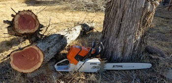 Tree Index