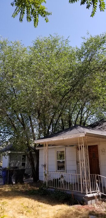 Tree Index