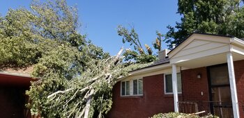 Tree Index