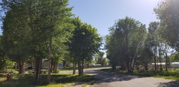 Tree Index