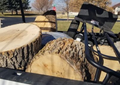 Tree Removal